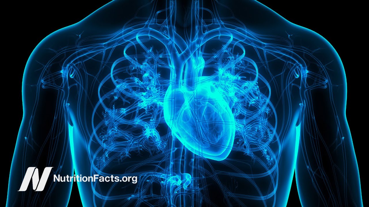 The Best Diet for Treating Atrial Fibrillation