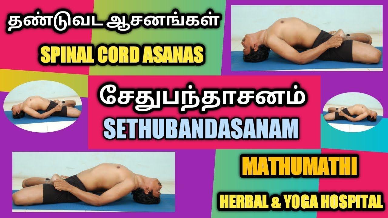 Mathumathi yoga Therapy/Thanduvada asanas /Sethubandasanam/தண்டுவடஆசனங்கள்/சேதுபந்தாசனம்
