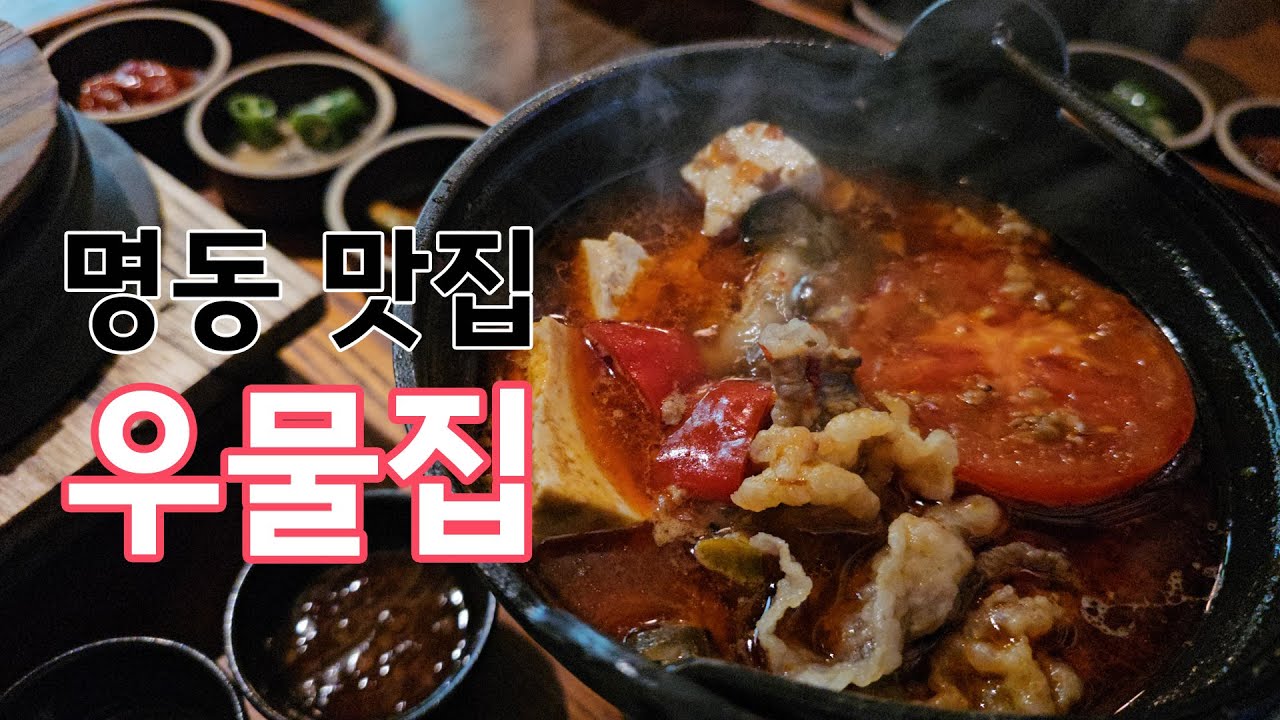 명동 접대용 맛집_우물집 명동 [8K]