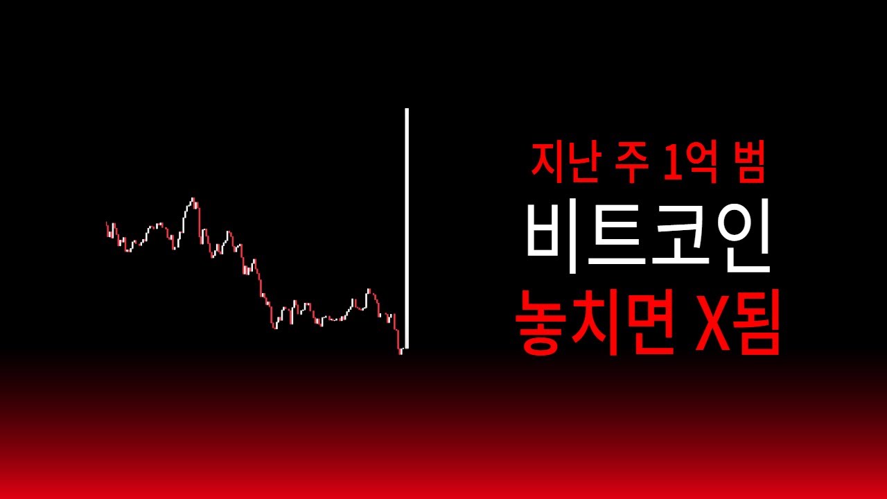 비트코인 8주 연속 적중. 지금 놓치면 X됩니다.