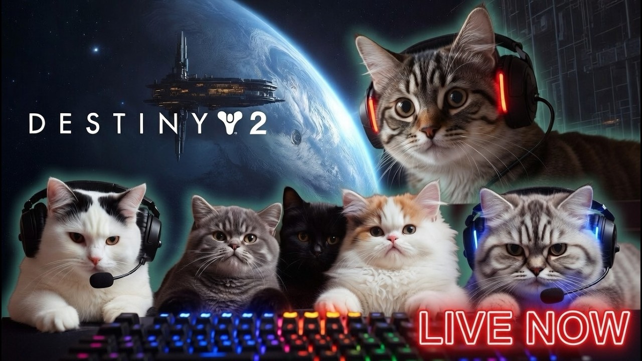 THE LAST DESTINY 2 SHERPER!! (🔴LIVE)  #destiny2 #lgbt SHORTS