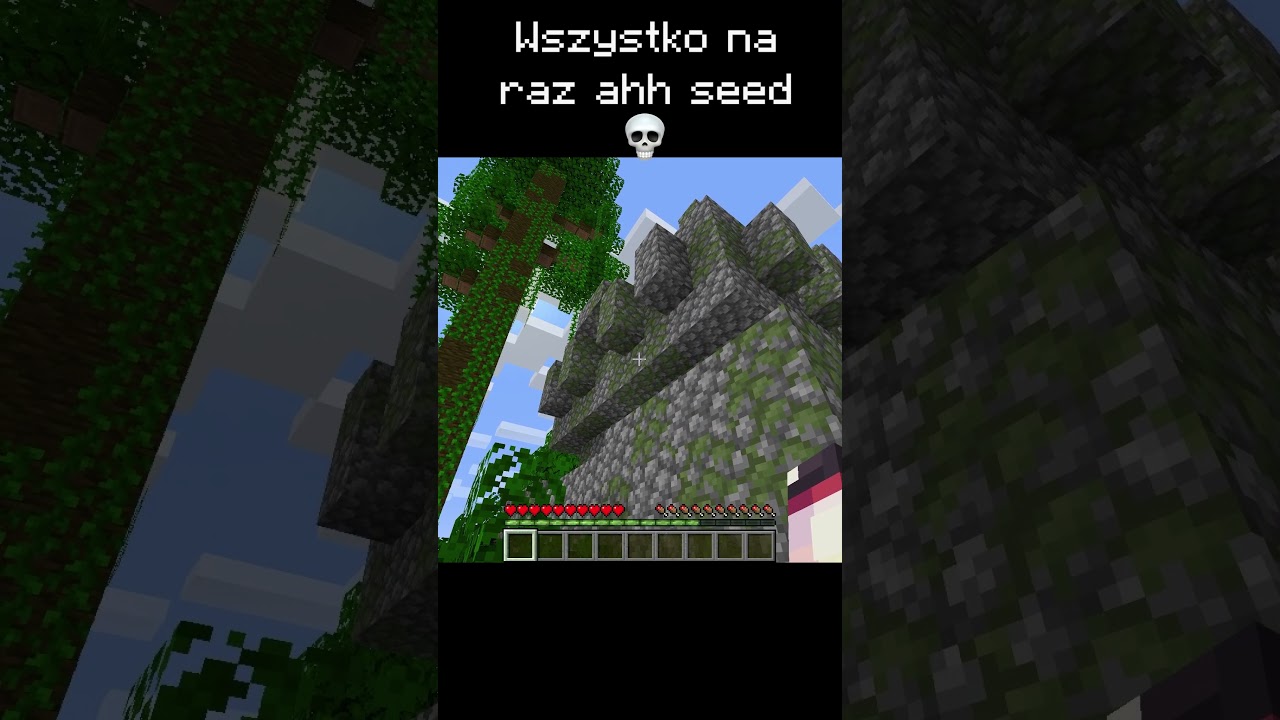 NIE SPRAWDZAJ DZWIEKU #funnymoments #minecraft #funnyshorts #gaming #memes #minecraftmeme #mc