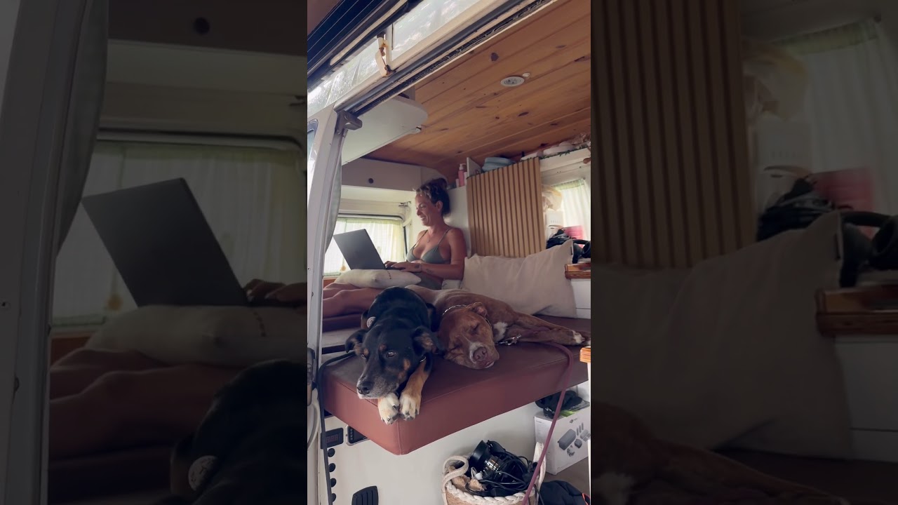 Vida real morando numa Kombi Motorhome! E a&iacute;, voc&ecirc; toparia embarcar nessa jornada? 🍃🌎 #motorhome