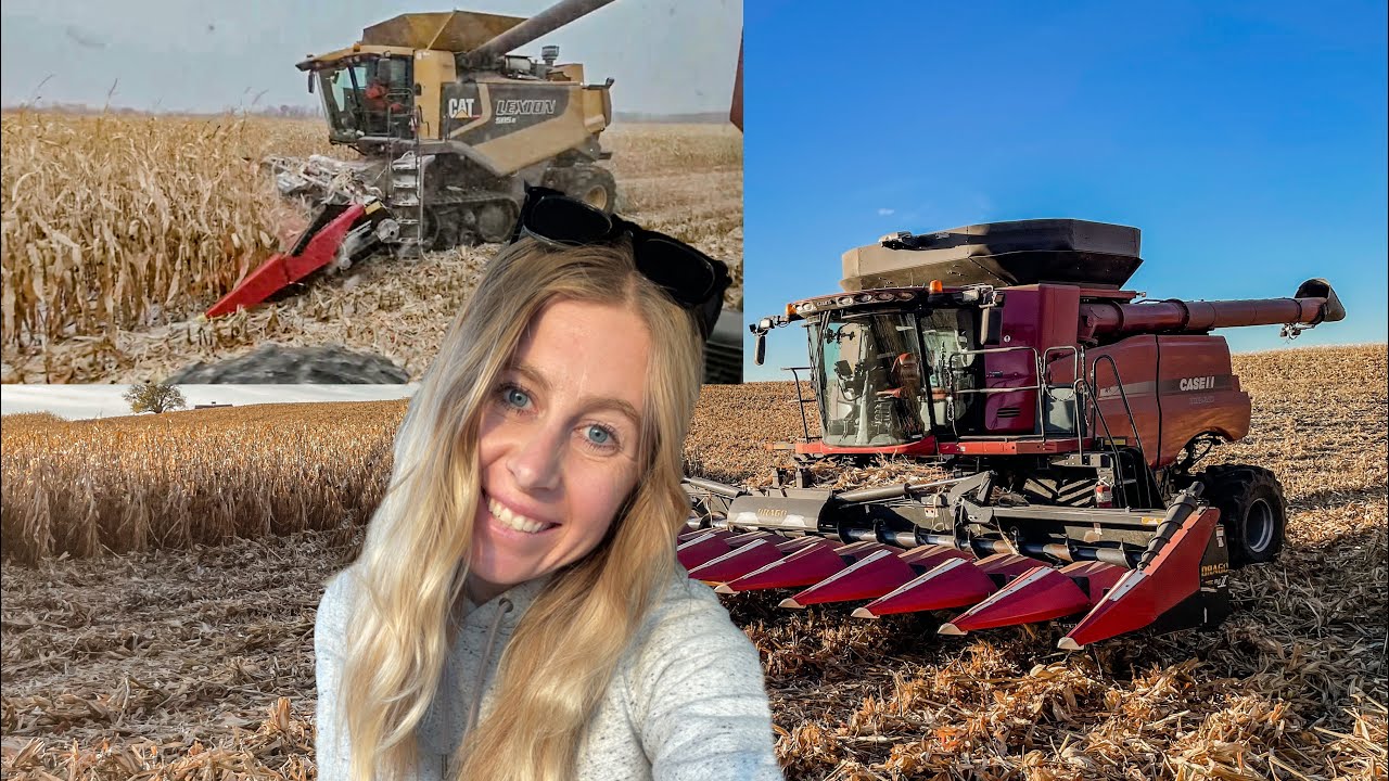 Case IH и Cat! Две семейные фермы!