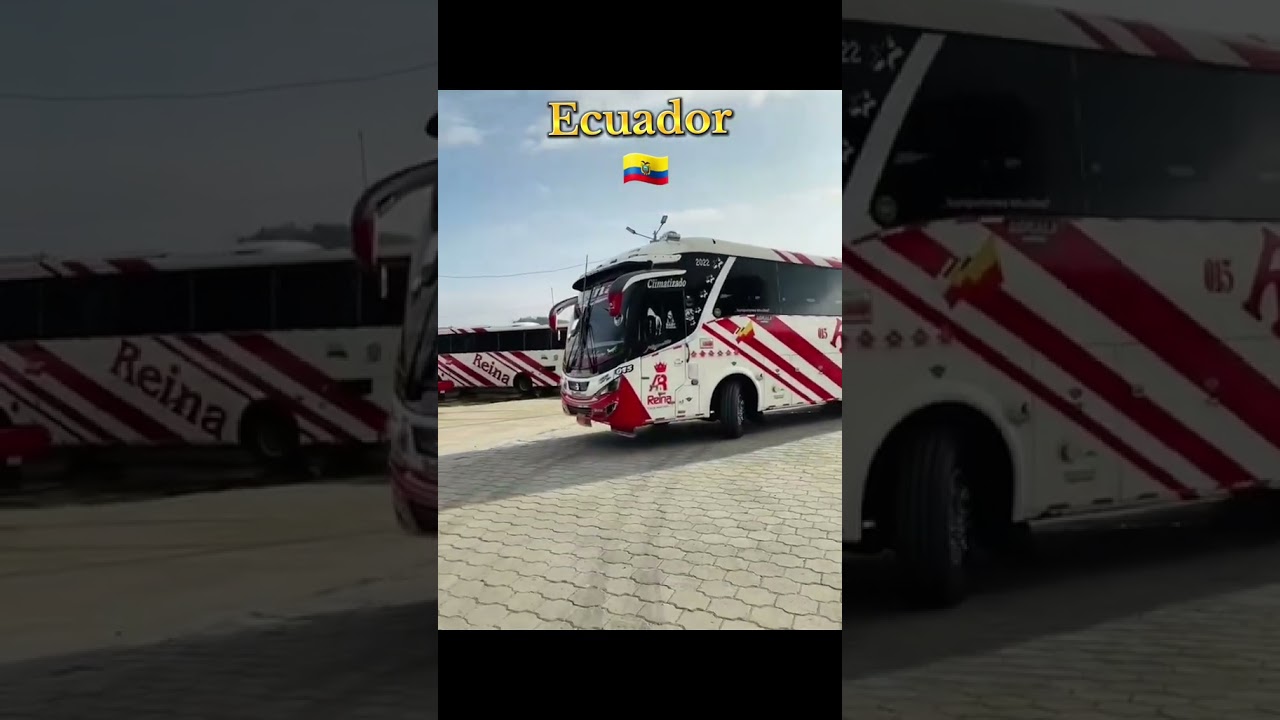 Buses del ecuador #pasionporlosbuses #busesecuador #fypシ cr&eacute;ditos a su autor