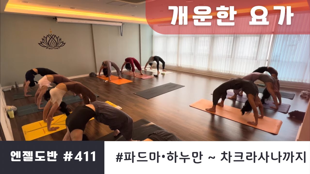 [엔젤요가] 개운하고 시원한 하타요가 | 파드마좌법에서 하누만으로 ~ 차크라사나와 역자세후굴까지 | 깊은 골반 어깨열림