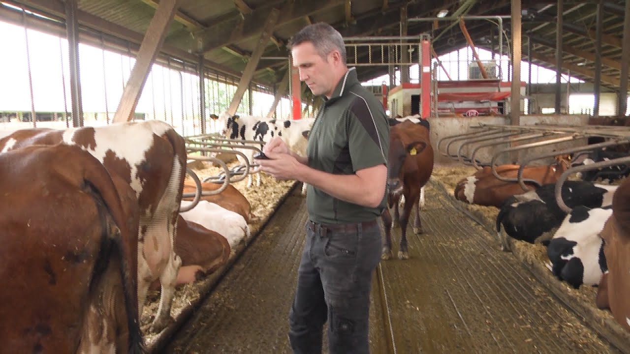 Landwirtschaft: Betrieb Thomsen aus Sterup, Ausbildungsbetrieb des Jahres 2023