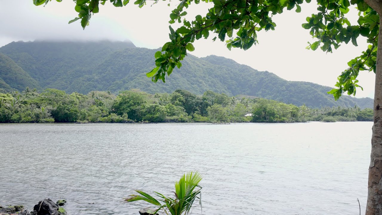 Living Shorelines of American Samoa S12 E1