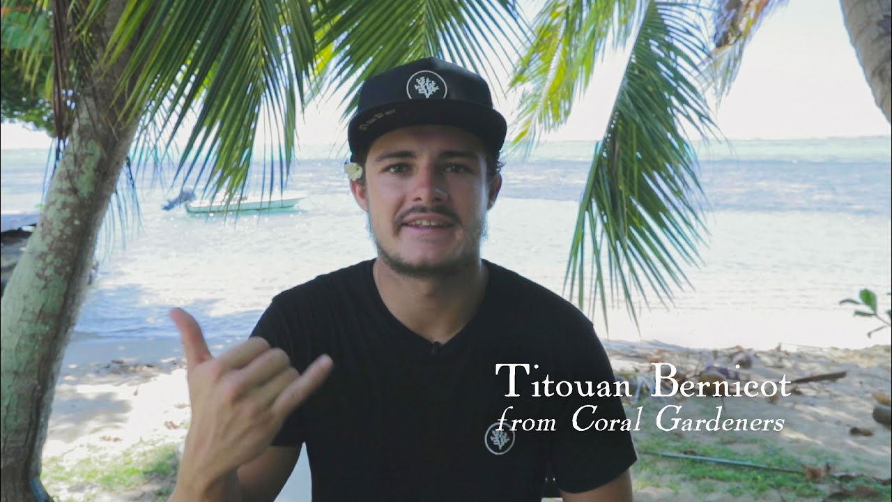 Tahiti Comes To You with Titouan BERNICOT (Coral Gardeners)