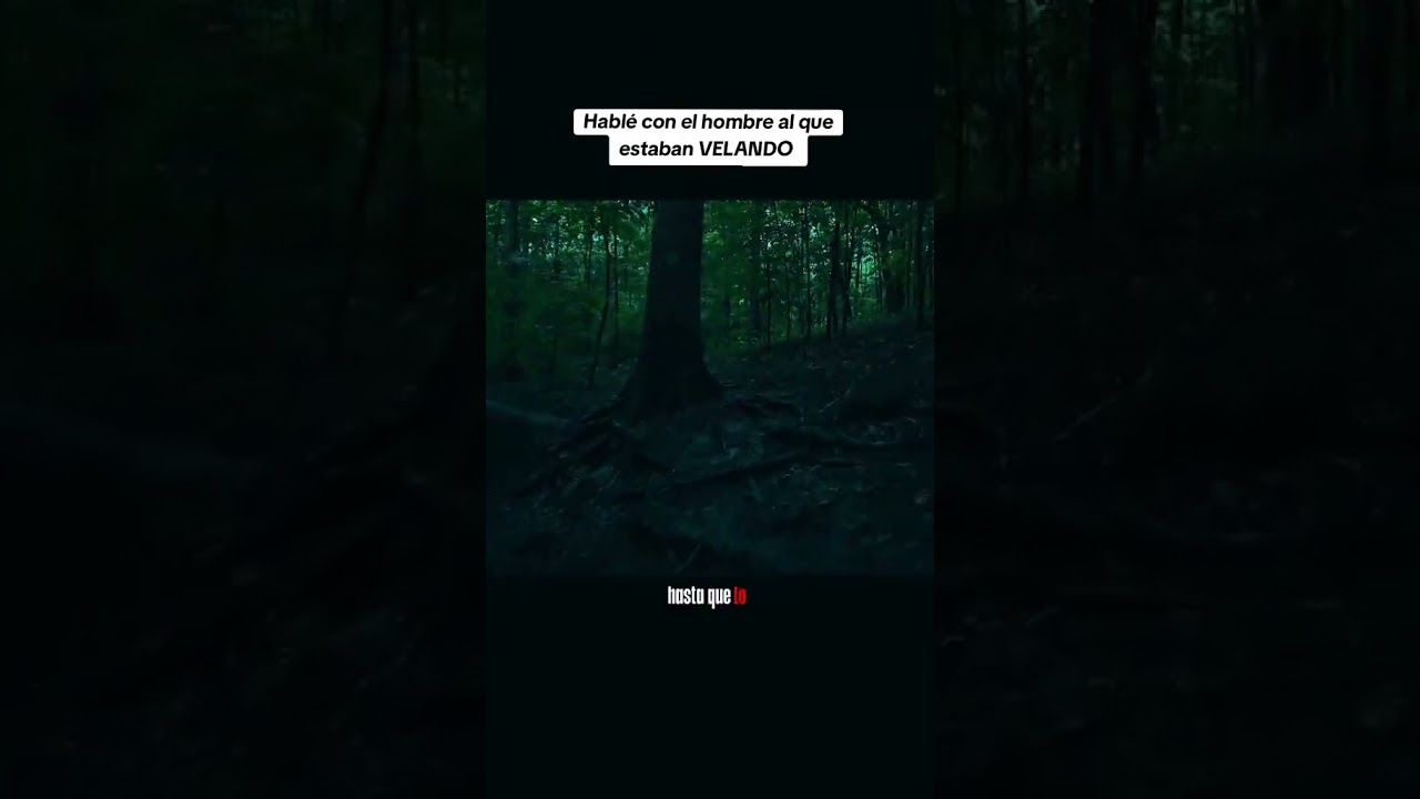Relatos de terror 