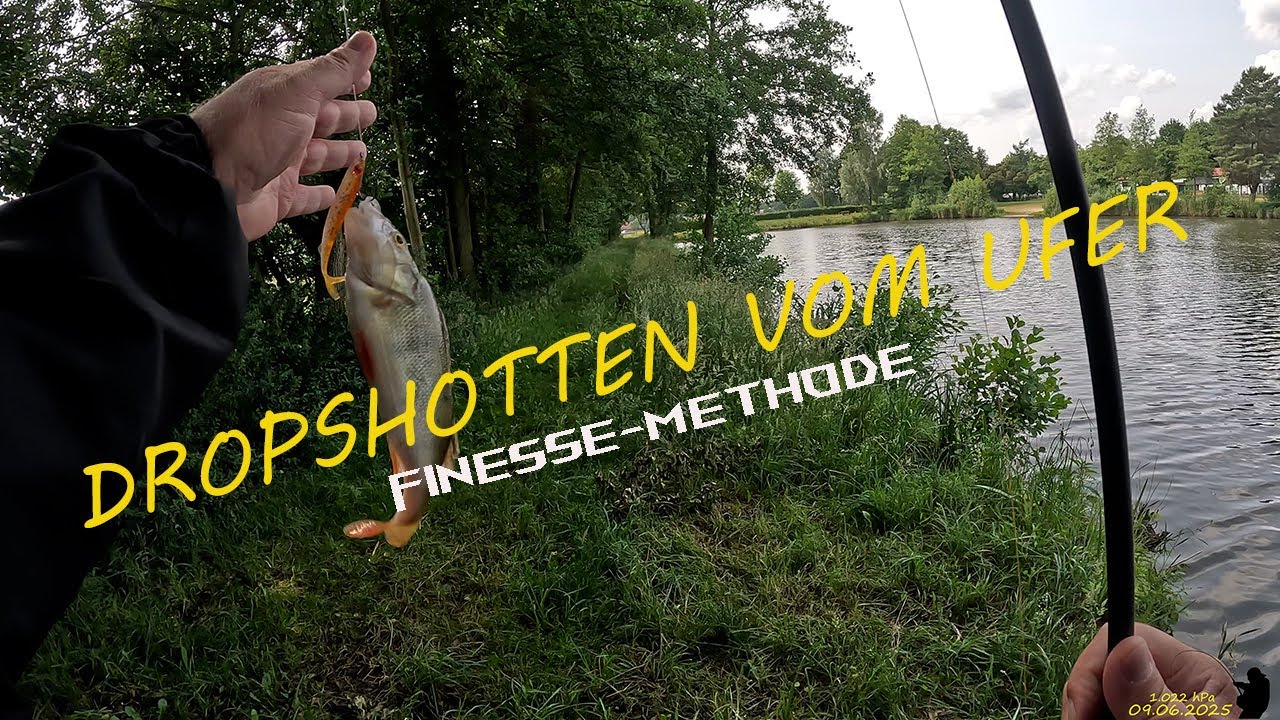 Dropshotten vom Ufer auf Barsch - Angeln auf Zander, Barsch und Hecht ...