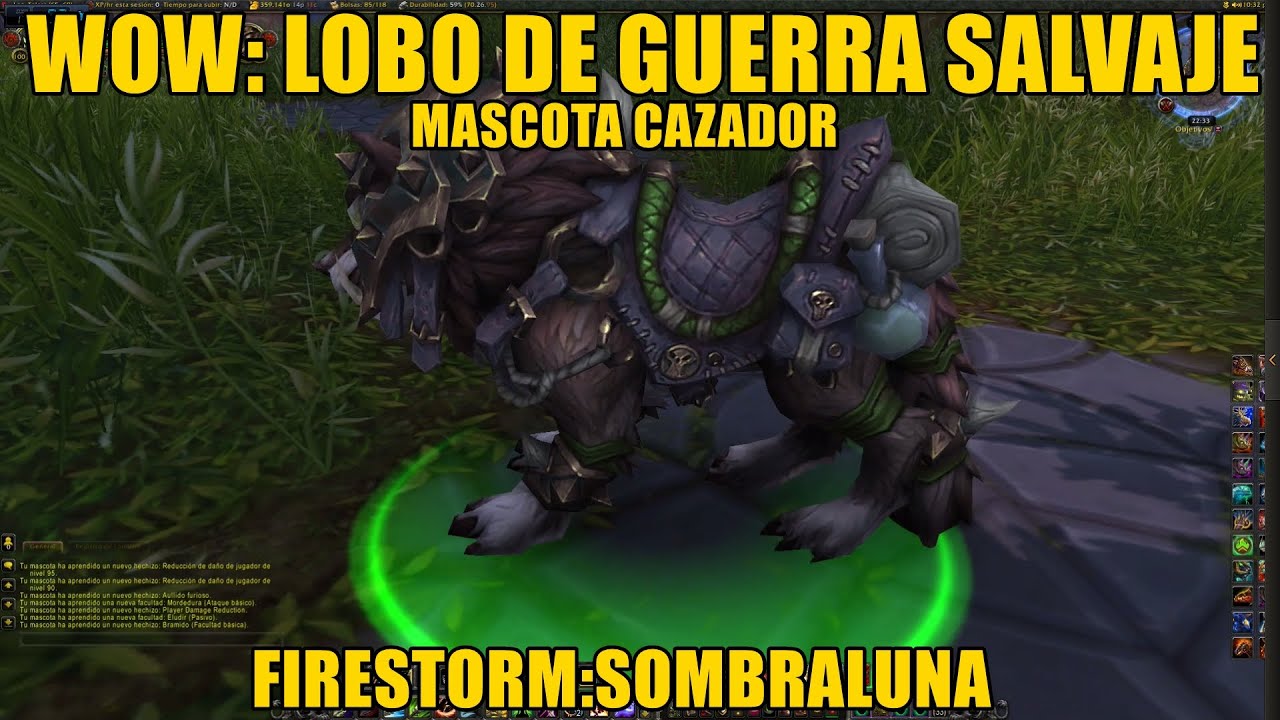 Wow: Lobo de Guerra Salvaje (Mascota Cazador) 