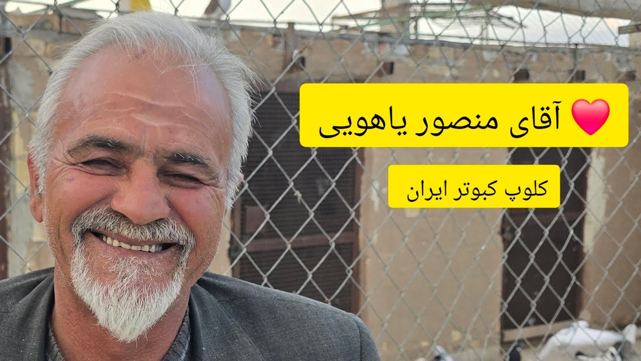 ❤️20اسفند1403گزارش از کبوترا و مصاحبه با آقای منصور یاهویی از آران و بیدگلiranian high flyers pigeon