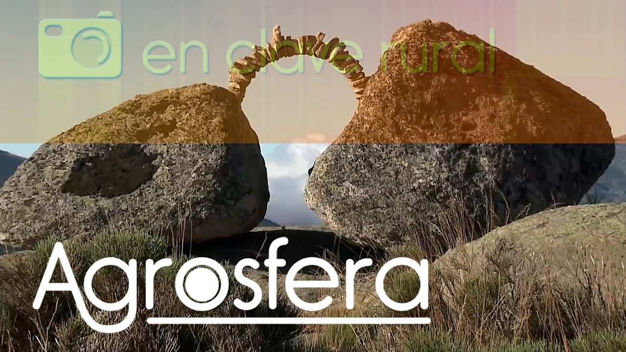 Turismo rural Hoyocasero / Ávila | Agrosfera