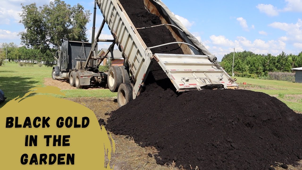 Using Rich Compost to Improve Our Backyard Garden!