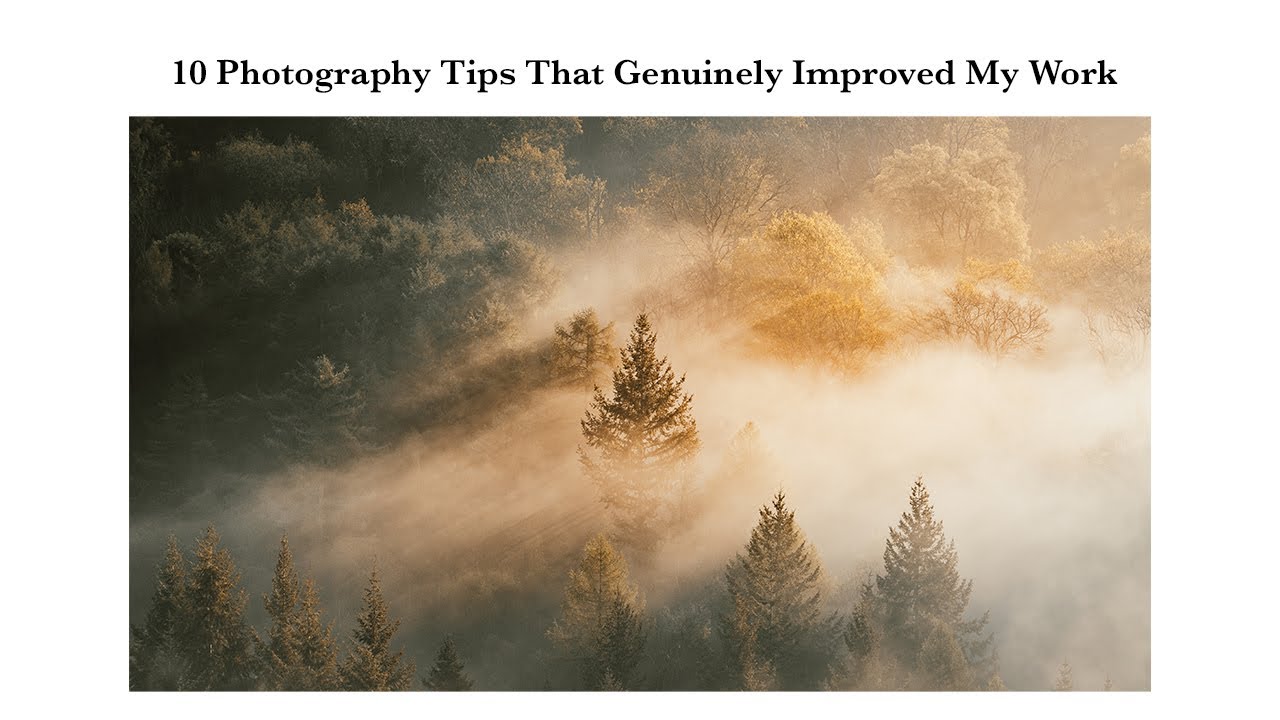 10 Photography Tips That Genuinely Improved My Work