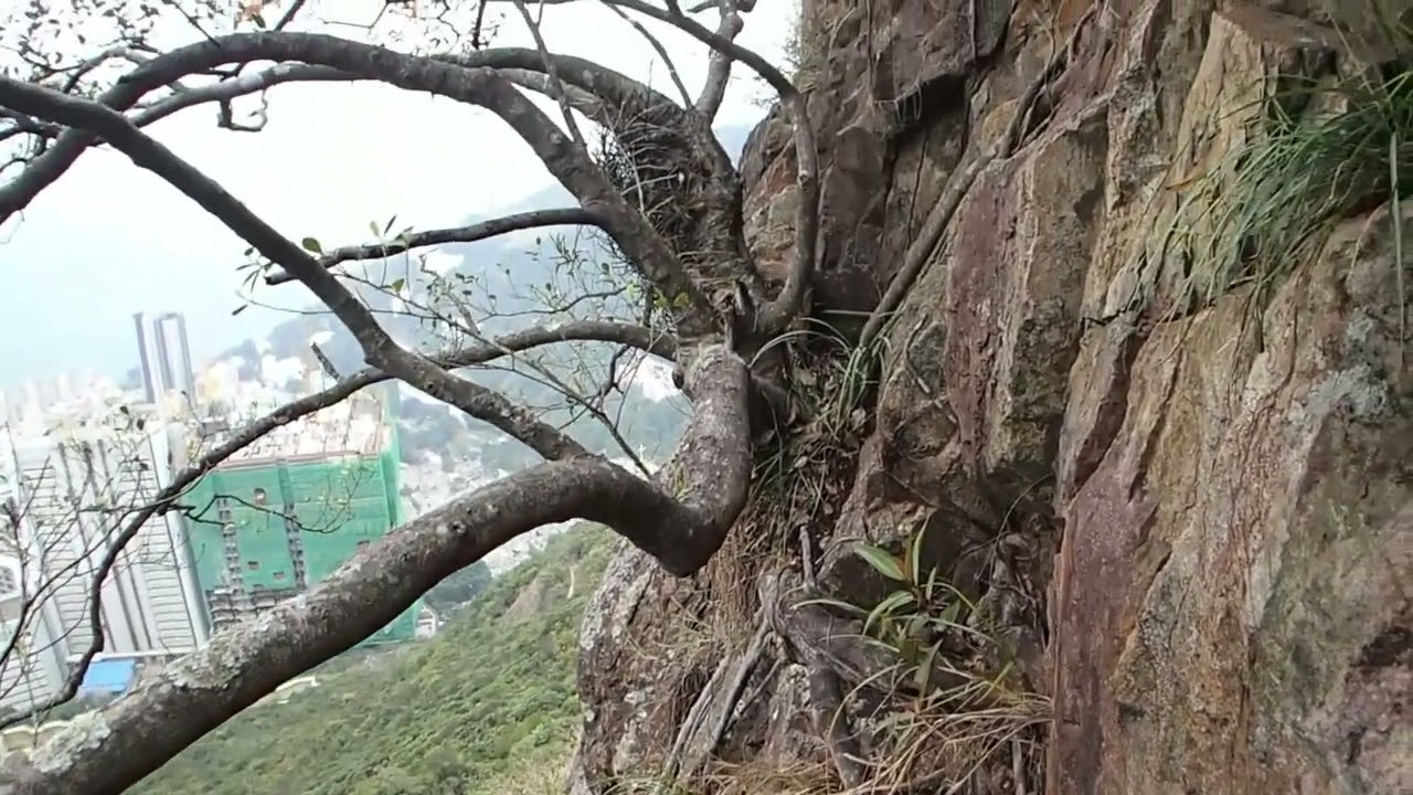 西高山西崖南崖