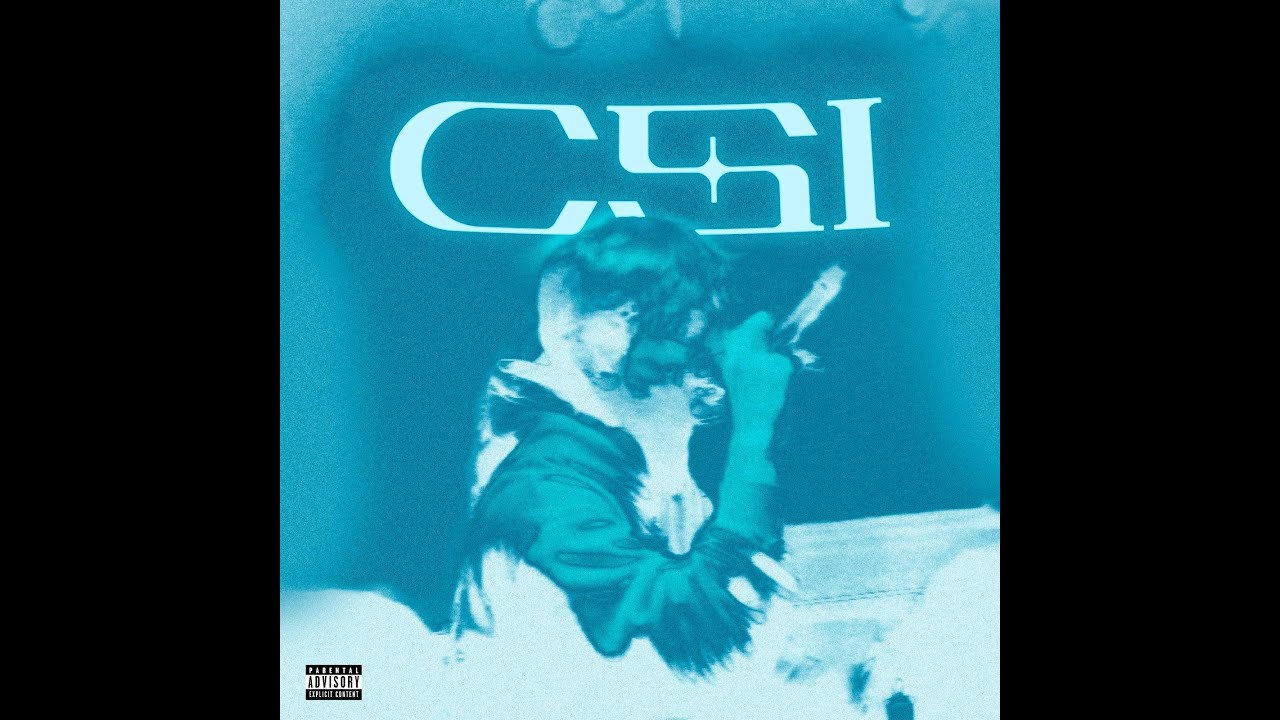 DAYZ - CSI