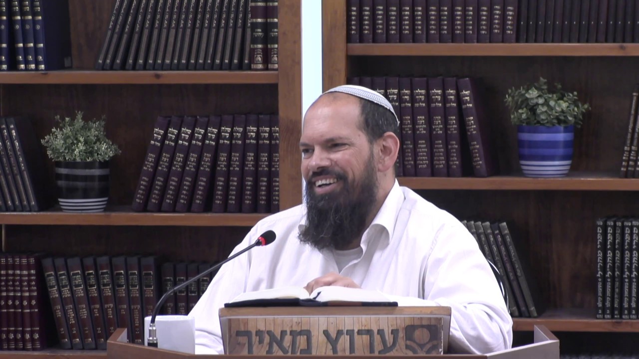 צוואת דוד לשלמה | הרב אייל ורד | ספר מלכים