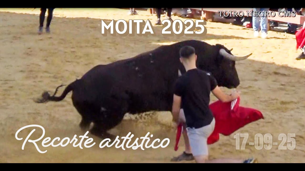 LARGADA DE TOIROS MOITA QUARTA FEIRA 17 DE SETEMBRO 2025 10H  RECORTE ARTISTICO