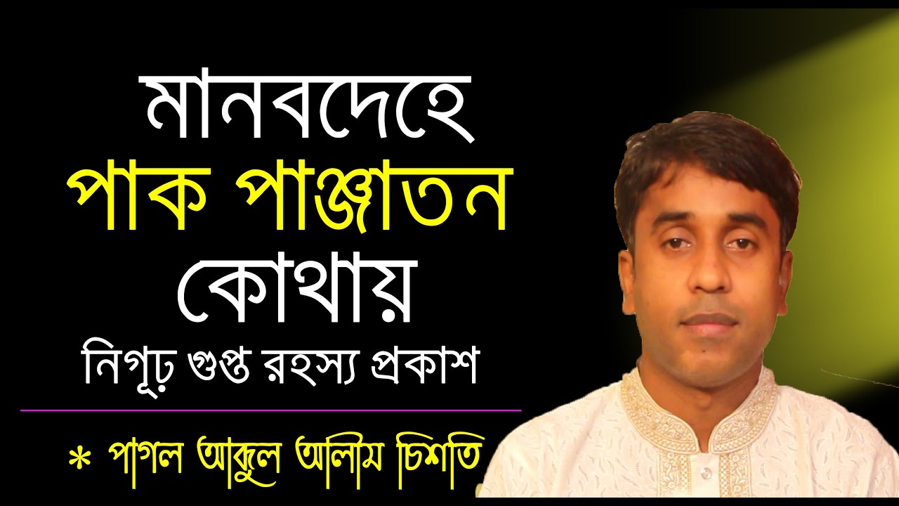 মানবদেহে পাক পাঞ্জাতন কোথায়? নিগূঢ় গুপ্ত রহস্য প্রকাশ, পাগল আব্দুল আলীম চিশতি, @Porom Atma HD