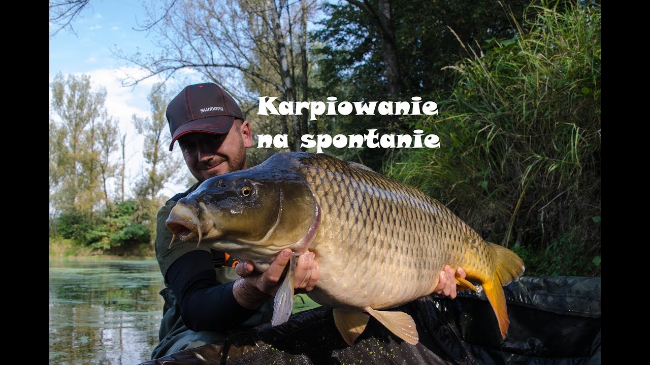Karpiowanie na spontanie - NLT.SKLEP.PL - NoLimitTeam.pl