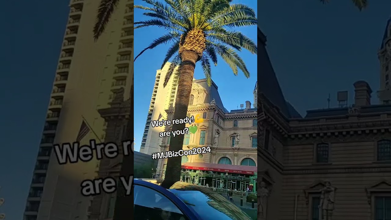 Time to set up our booth at MJBIZ 2024 #lasvegas #tradeshows #shorts