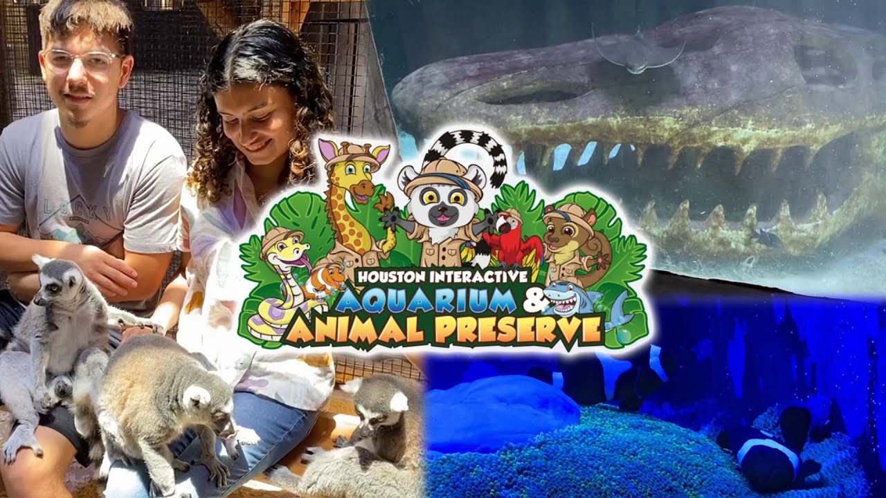 Houston Interactive Aquarium & Animal Preserve - 2022