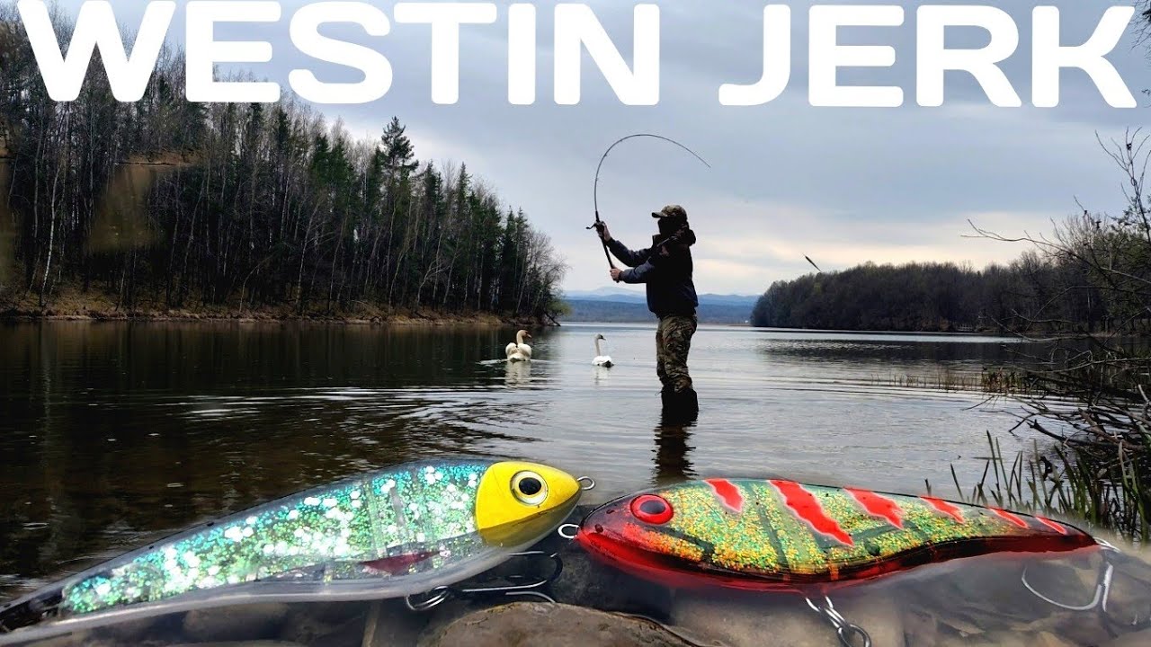 Відкриття Сезону 2026. Ловля на Джеркбейти Весною.WESTIN JERK 