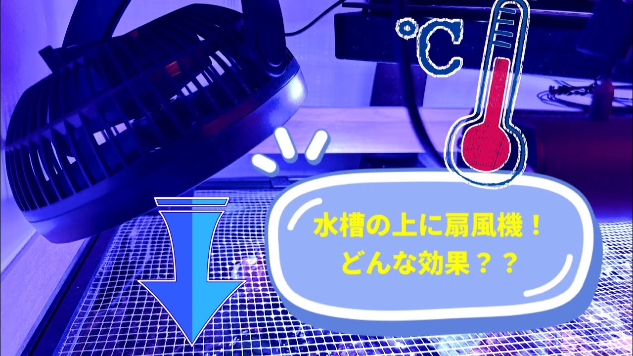 【後編】最大の試練？…必死の夏の水温管理【扇風機】【海水水槽】