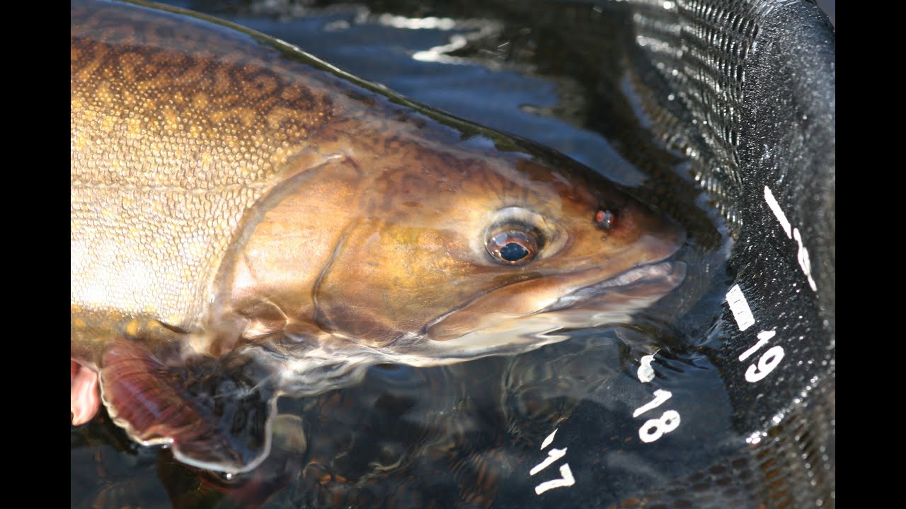 Northern Lights Lodge | Labrador