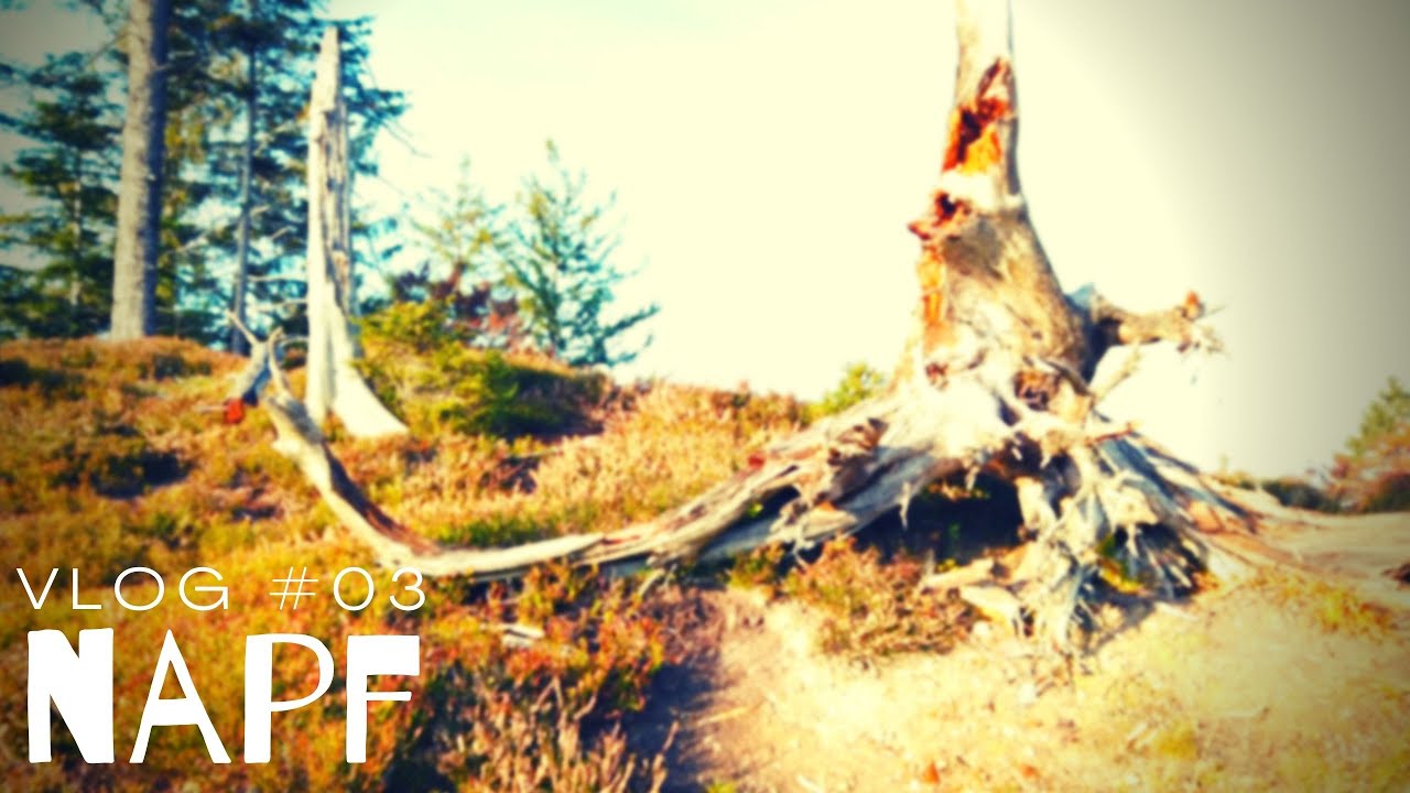 Napf - VLOG #03 | Wandertipp