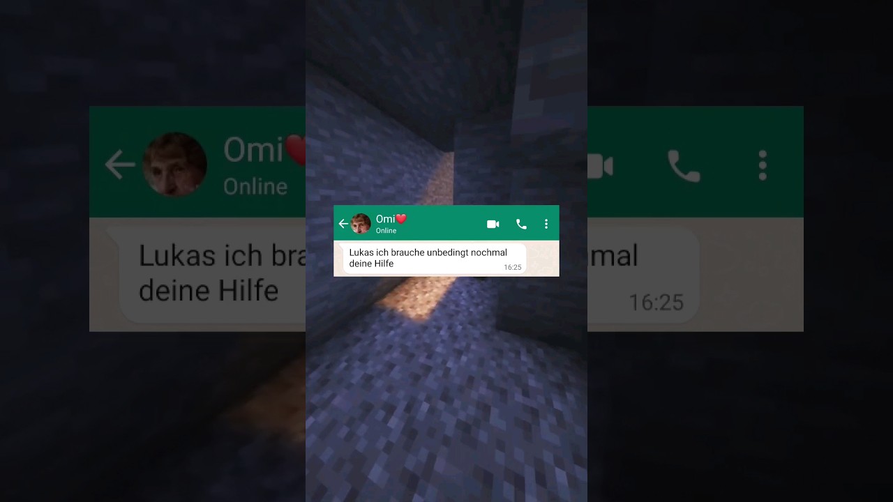 Verr&uuml;ckter WhatsApp Chat Wenn die Oma nur w&uuml;sste #lustig #chat #chats #kleinanzeigenfails #shorts