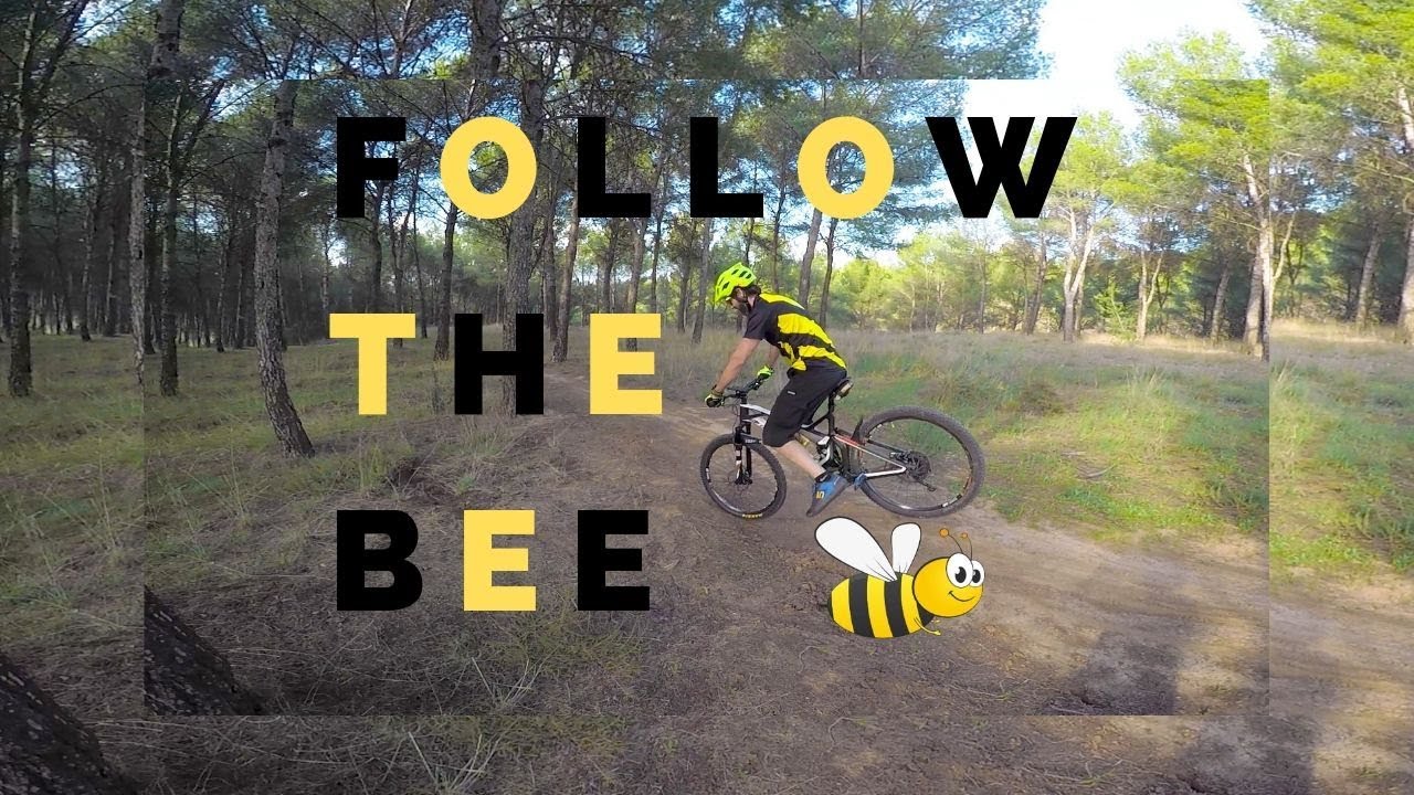 Enduro MTB 🚵‍♂️ ALCALA (MADRID) ⚡ FLOW Y ➕ FLOW ⚡ TRAILFORKS