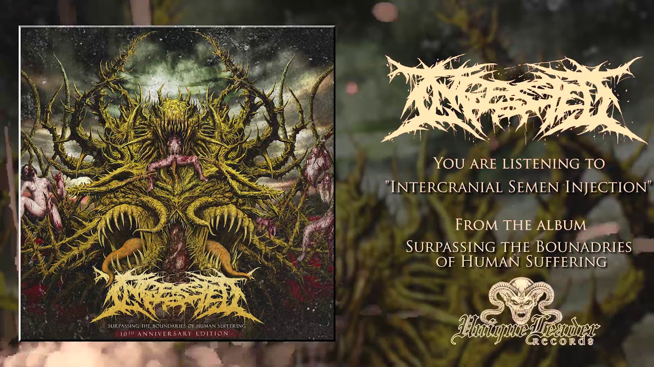INGESTED - 