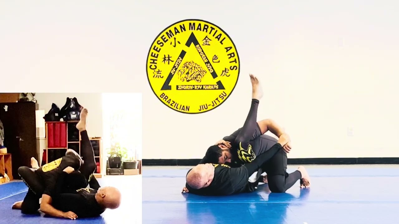 Jiu Jitsu Self Defense Blue Belt -Purple Belt Guard Retention Stripe 2 #7  Triangle 1.5