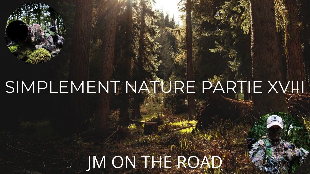 WILDLIFE SIMPLEMENT NATURE PARTIE XVIII PAR JM VIDEASTE ET PHOTOGRAPHE ANIMALIER