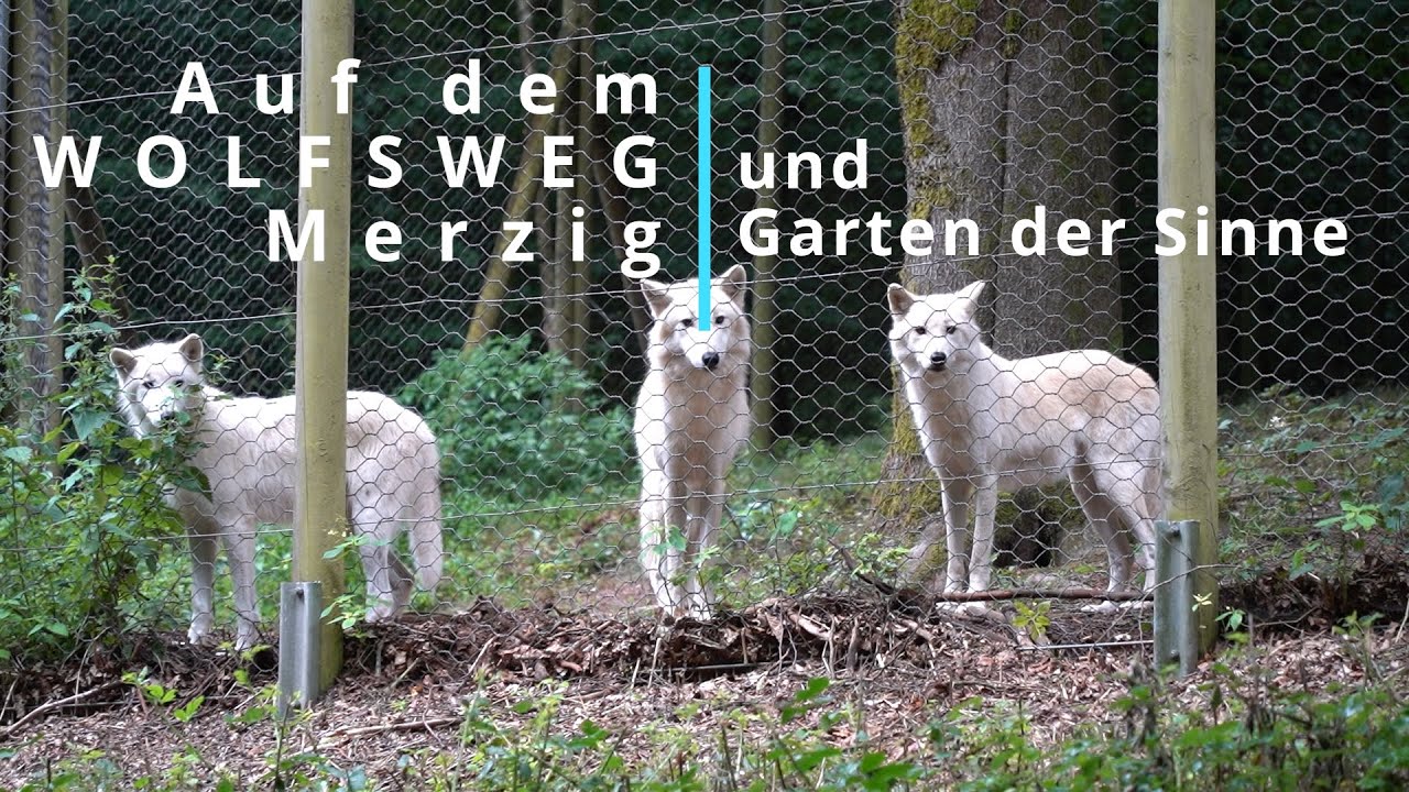 Wolfsweg und Garten der Sinne