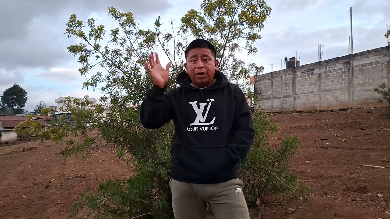 Tarde noche| del Viernes 13 de marzo| saludando a mis suscriptores| y no suscriptores|