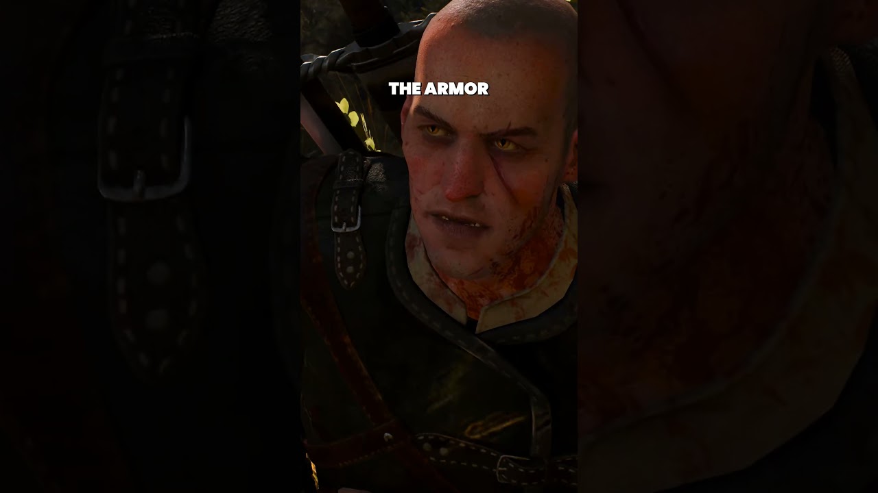This NPC REACTS to your armor! - THE WITCHER 3: WILD HUNT