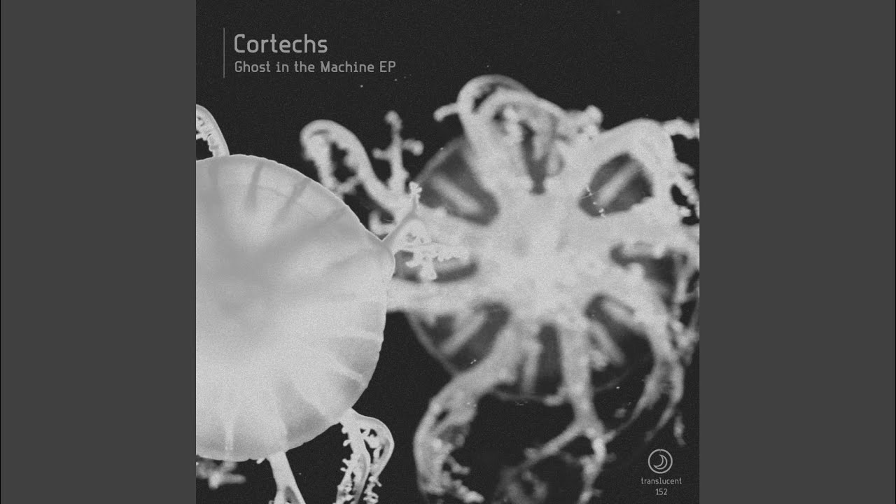 Ghost In The Machine (Original Mix)