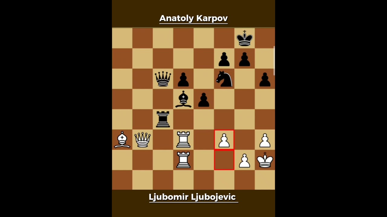 Ljubomir Ljubojevic vs Anatoly Karpov ◉ Chess Olympiad 1982 | Epic Battle of Minds!