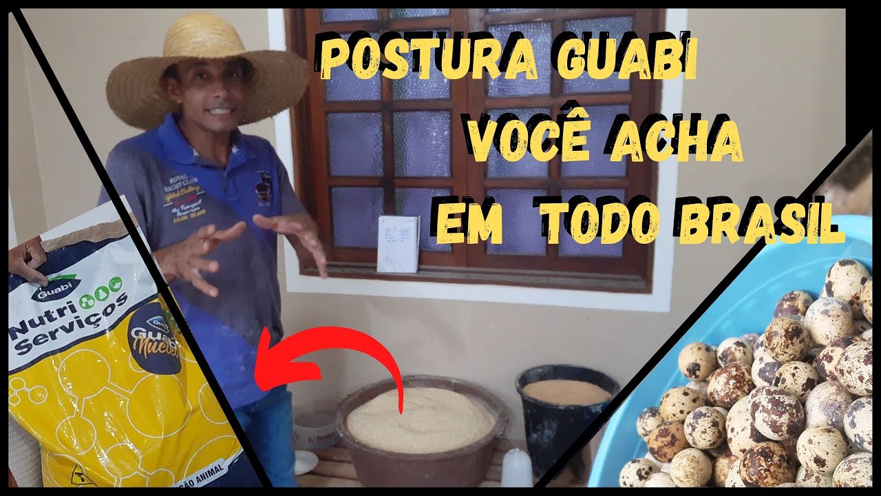 Ovos pequenos 🥚🥚🥚? use esse NÚCLEO de Postura receita Completa 4 ingredientes @TILAPIA Minha Vida !