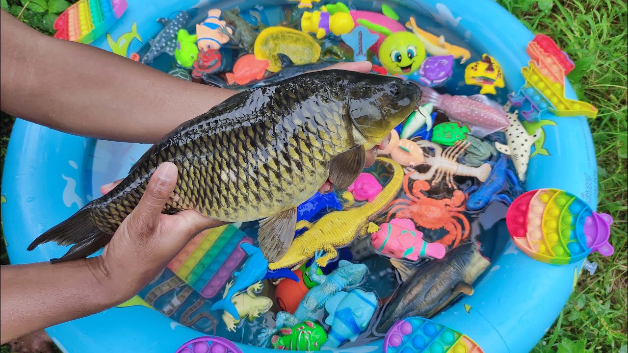 Memancing Ikan Hias, Ikan Mas Besar, Ikan Koi, Ikan Hiu, Paus, Lumba-Lumba, Gurita, Ikan Nemo, #128