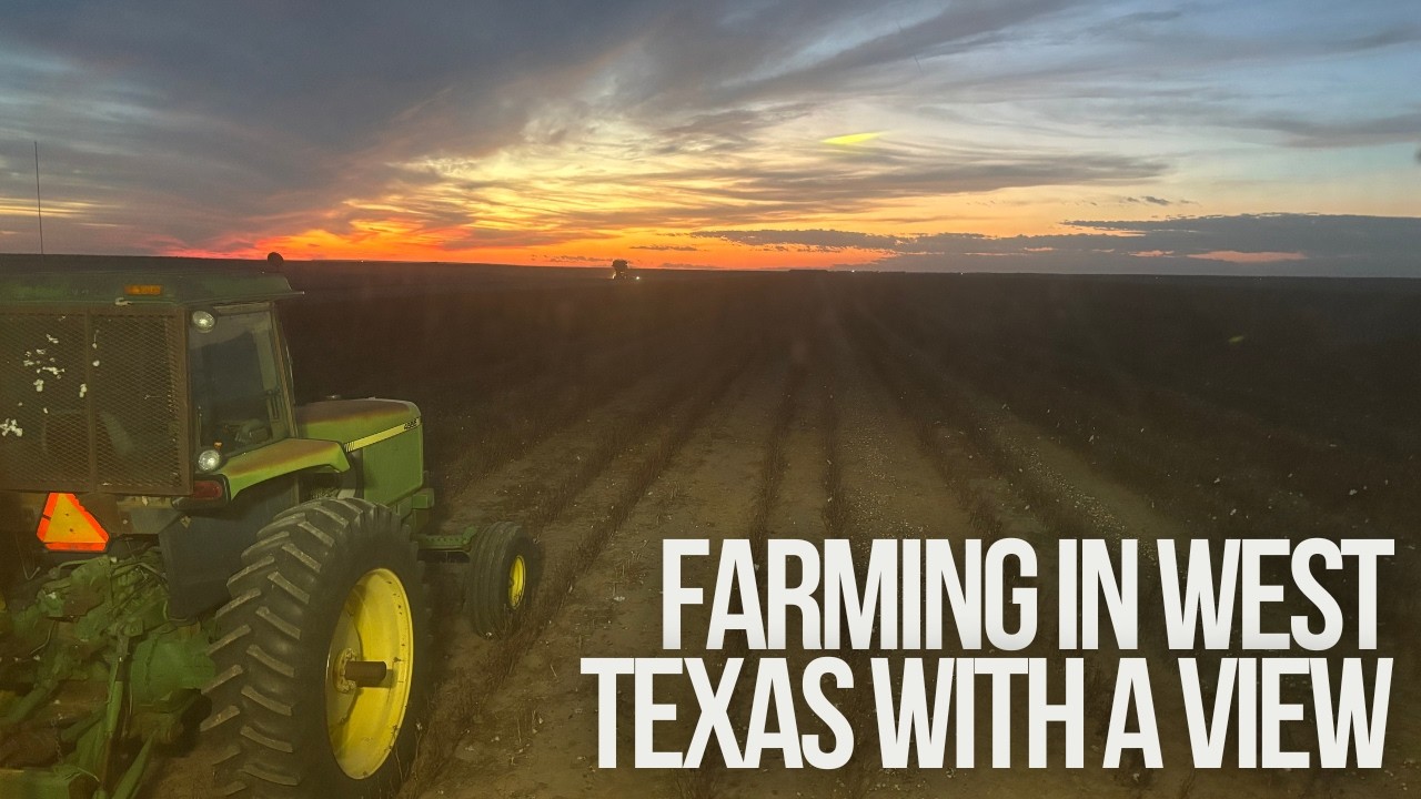 Am I Sowing Enough Wheat Per Acre?