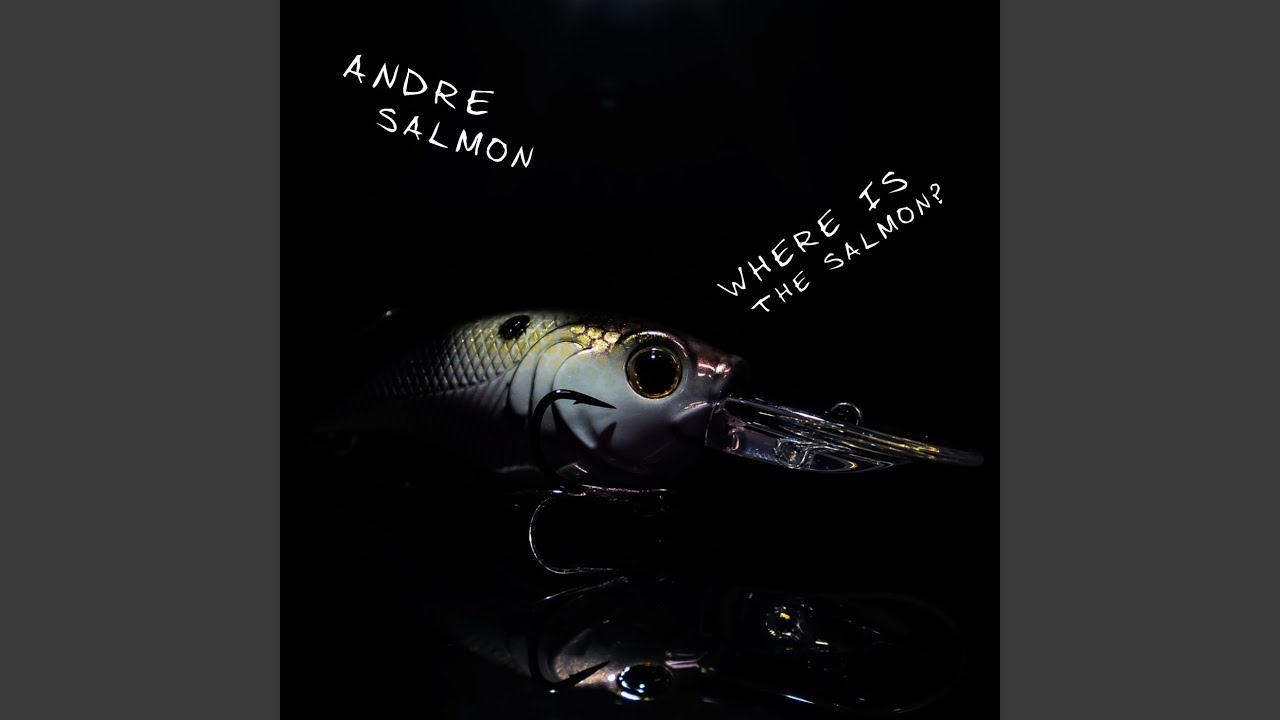 Where Is the Salmon?