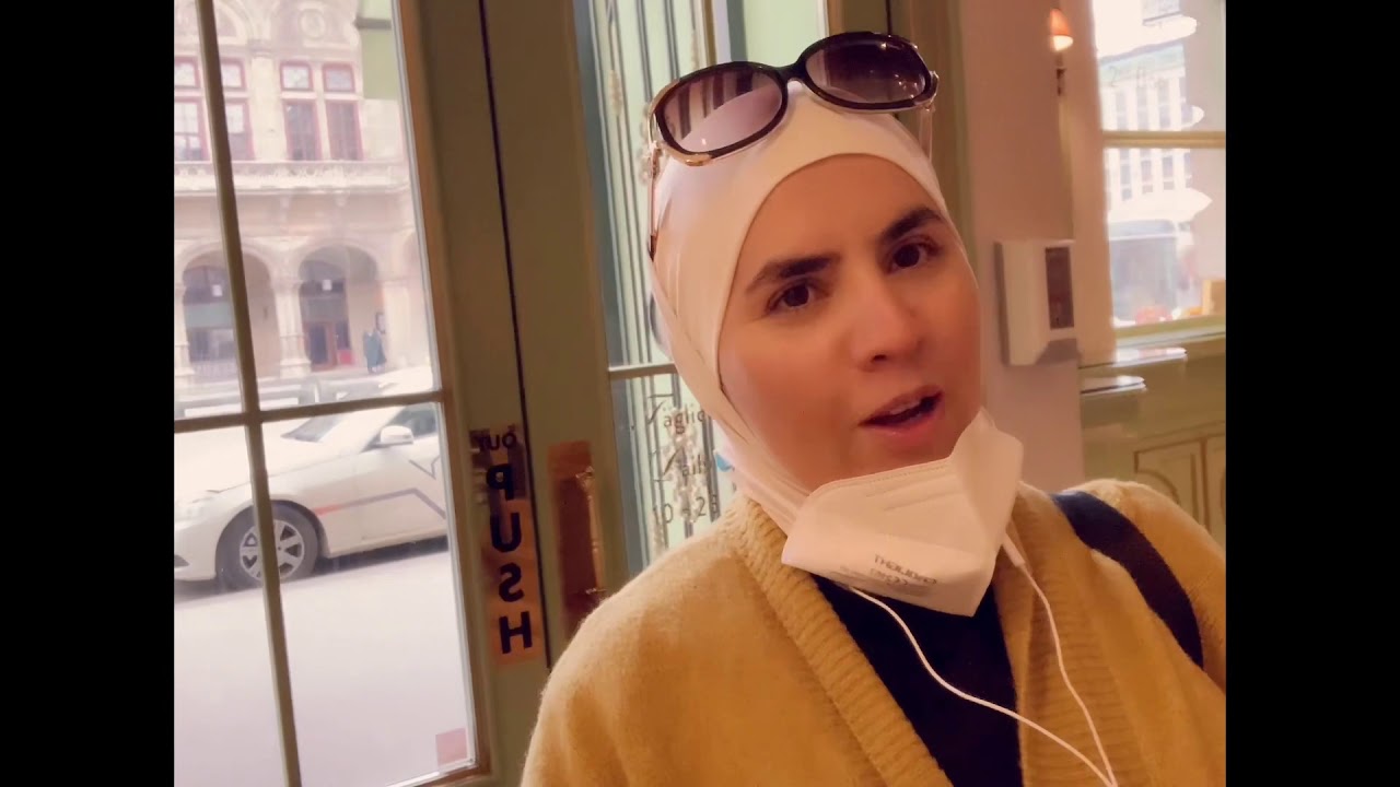 فيينا مركز المدينة الجزء الثاني Vienna City center part 2