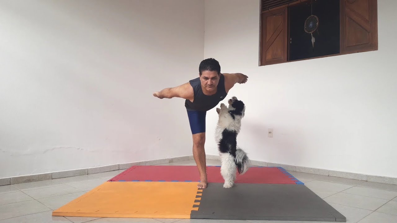 DOGA. Yoga with a dog.