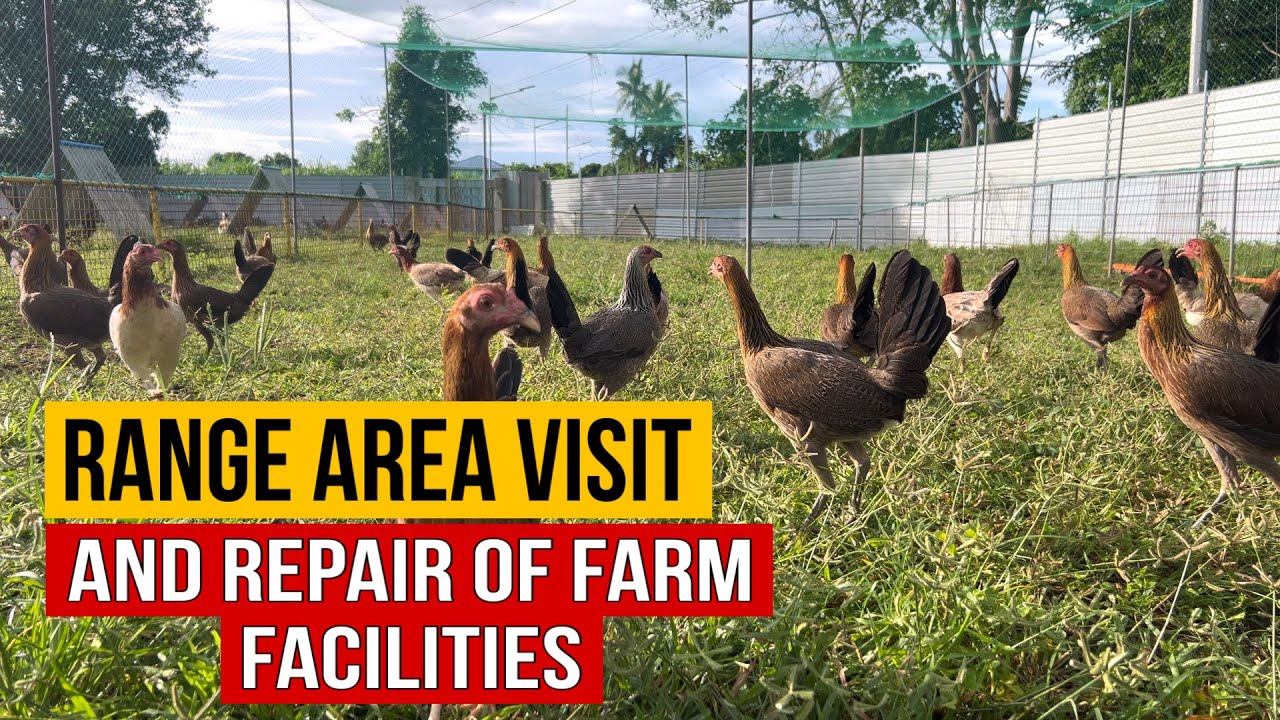 LIVESTRONG FARMS RANGE AREA VISIT AND SOME FARM MAINTENANCE WORKS 