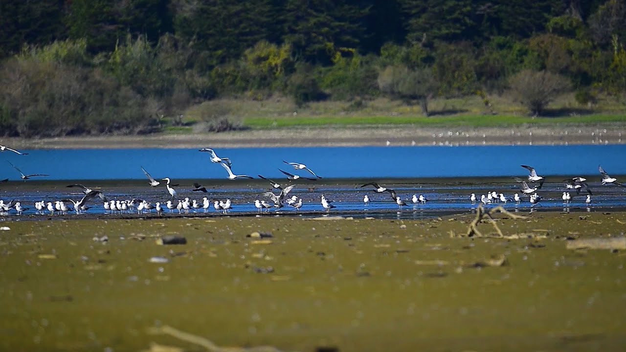 LAGO DI TARSIA-FOCE DEL CRATI